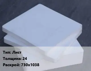 Капролон плита Лист s=24 730х1038